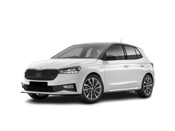 ŠKODA FABIA MANUALE